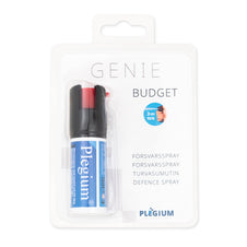 Plegium Budget